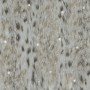 8454cd60df5200b23626a83b20d68124
