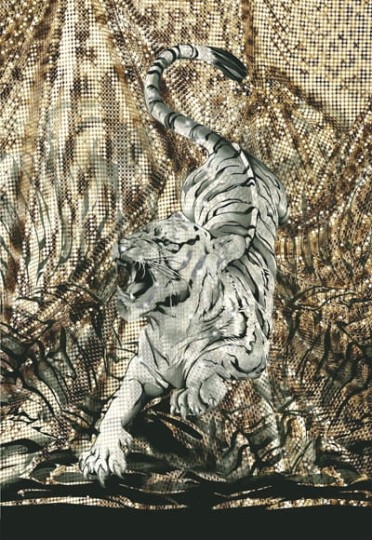 Tapeta Emiliana Parati Roberto Cavalli vol.3 14137