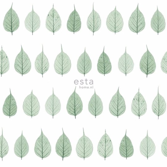 Tapeta Esta Green House 128847