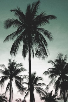 1f36da23058b448560c5ef0a0b9d03d2