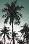 1f36da23058b448560c5ef0a0b9d03d2
