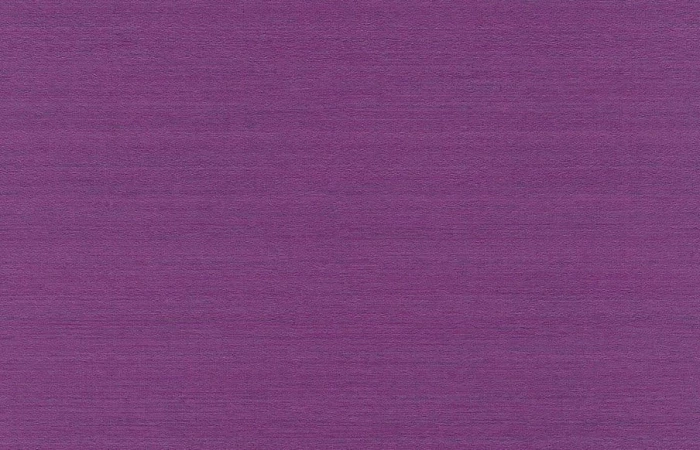 de09504ded801c76d041e9e36c135580