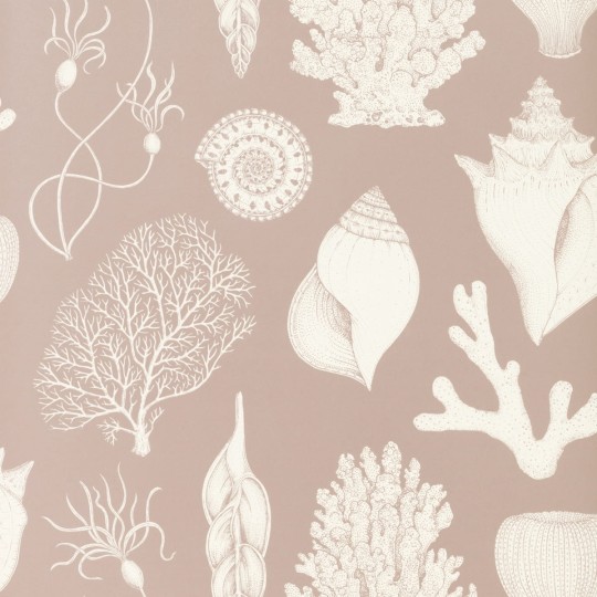 Tapeta Ferm LIVING Katie Scott Shells 100236303 Dusty Rose Muszle