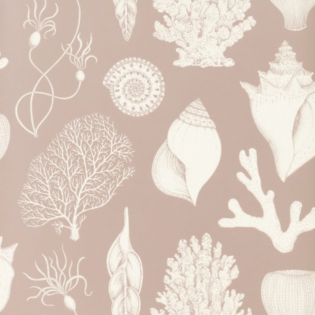 Tapeta Ferm LIVING Katie Scott Shells 100236303 Dusty Rose Muszle