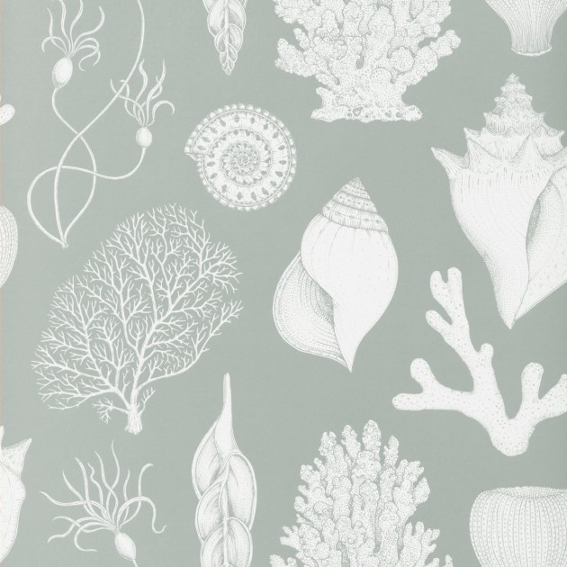 Tapeta Ferm LIVING Katie Scott Shells 100236675 Aqua Muszle