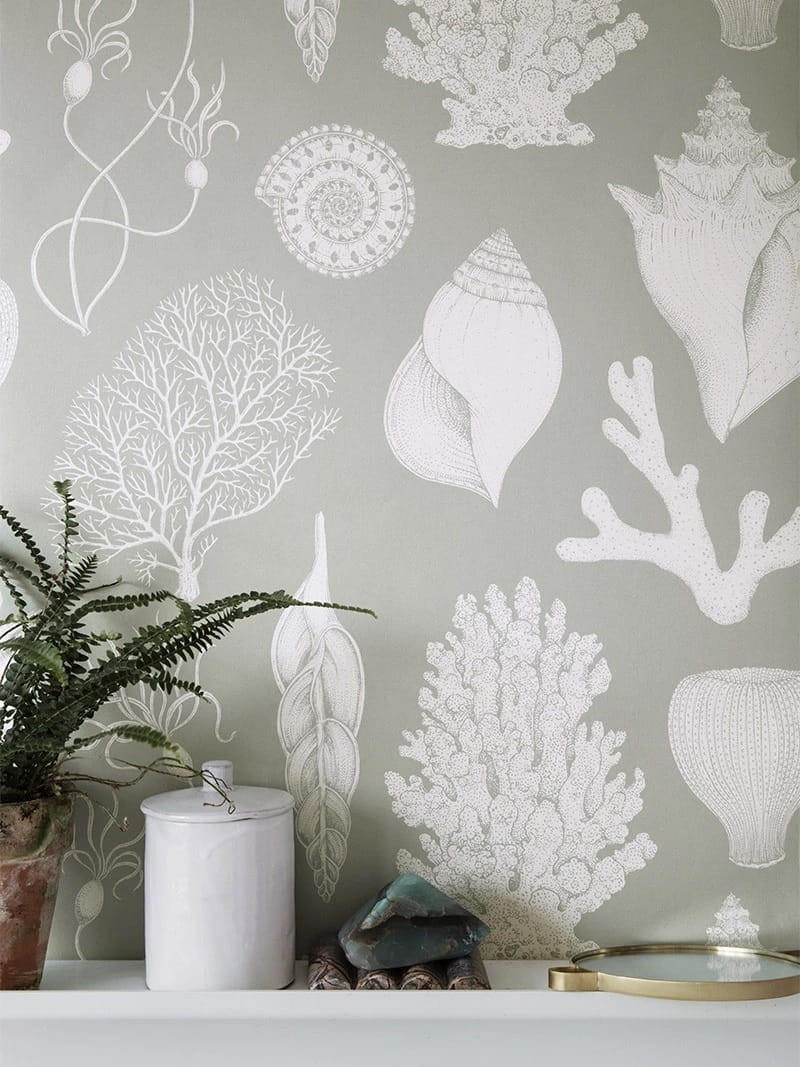 Ferm Living 100236677 Katie Scott Shells Toffee - tapeta muszelki