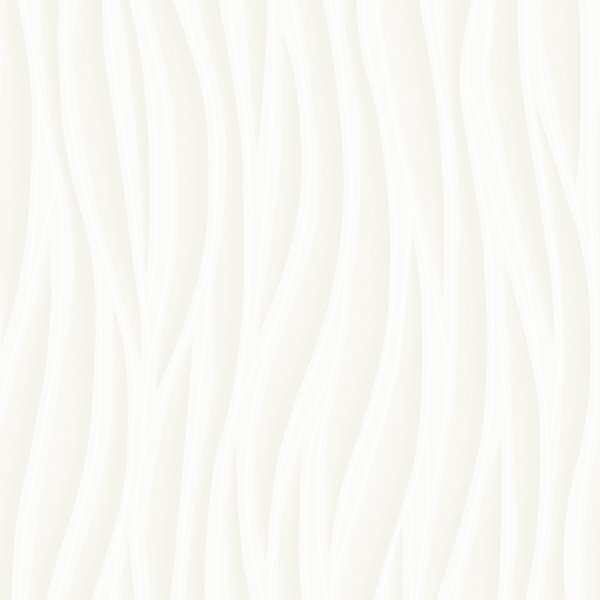 2d12eece98098f529d960f711ab05d48