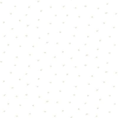 Tapeta Galerie Aquarius G12151 Splash Beige White