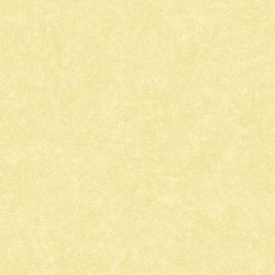 94d9c409e165a459363682db23661acd