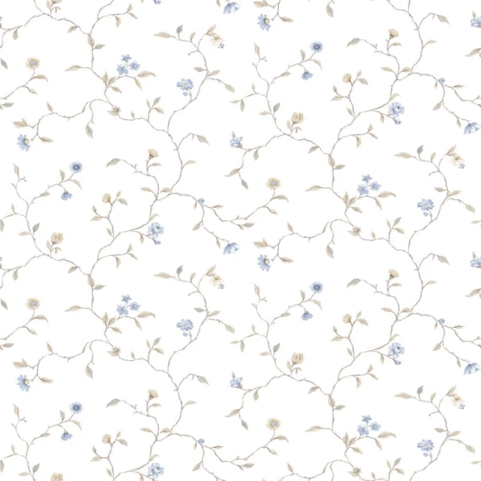 d444c4149516300a961935c4021f2eae