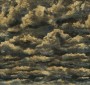 5cc6636946aebd3ca3d04b1708a272c5
