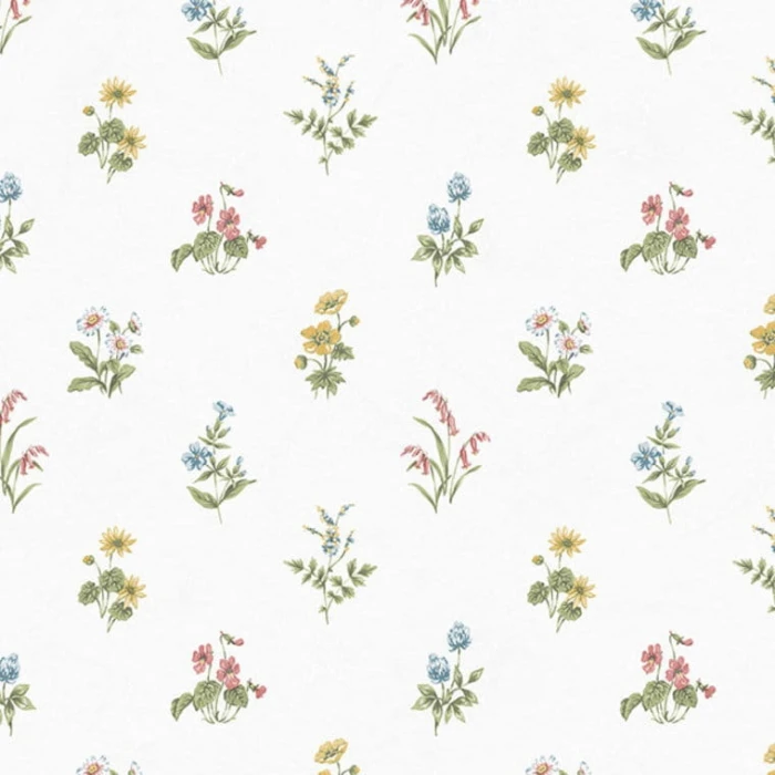 c55b4116a32b9eff8282aa778637209d