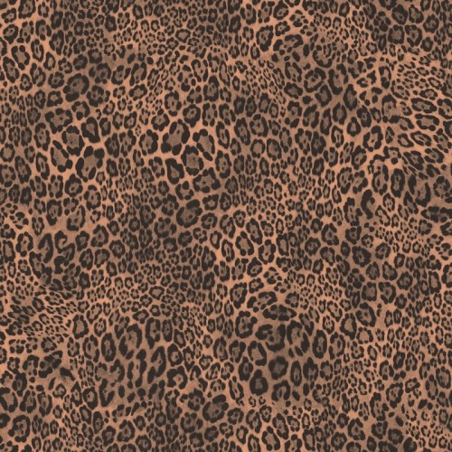 bc256b441122cee19c79611d4249f298