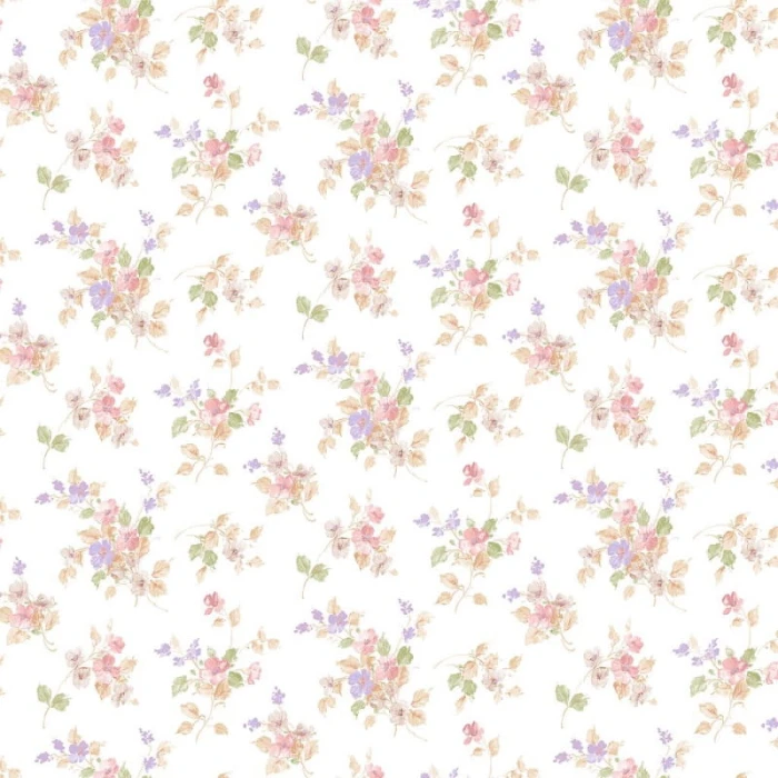 e0c5fdb9b2d2789999c7c1e511bbf4b7