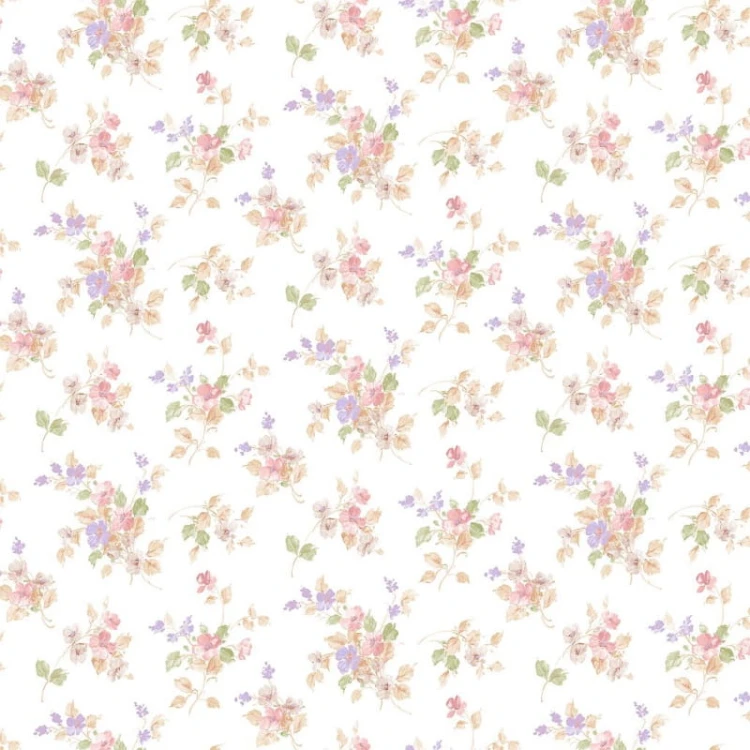 e0c5fdb9b2d2789999c7c1e511bbf4b7