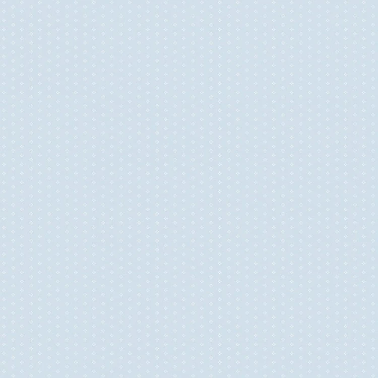 47b017ca066c6f310fa514cdc6f41ed6