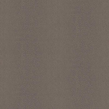 4c2836cf0026b8795b6d59cbd963f1ba