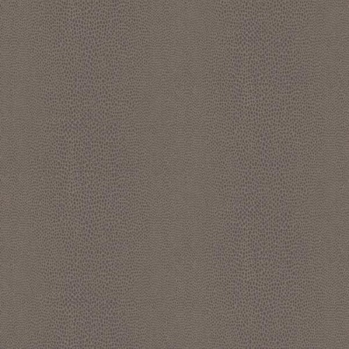 4c2836cf0026b8795b6d59cbd963f1ba