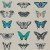 bf388a94d14c2af1b2360e577c2e38d9