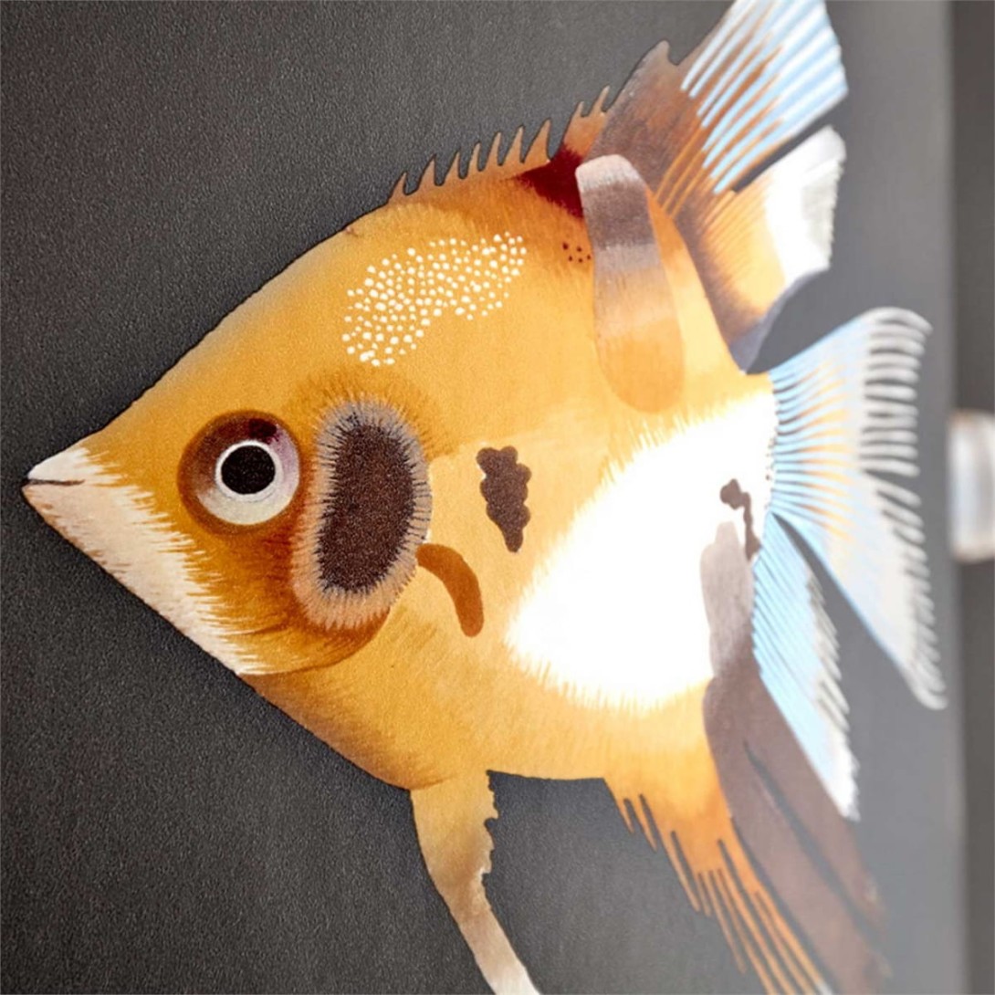 Tapeta Harlequin Anthozoa Kamanu 111648