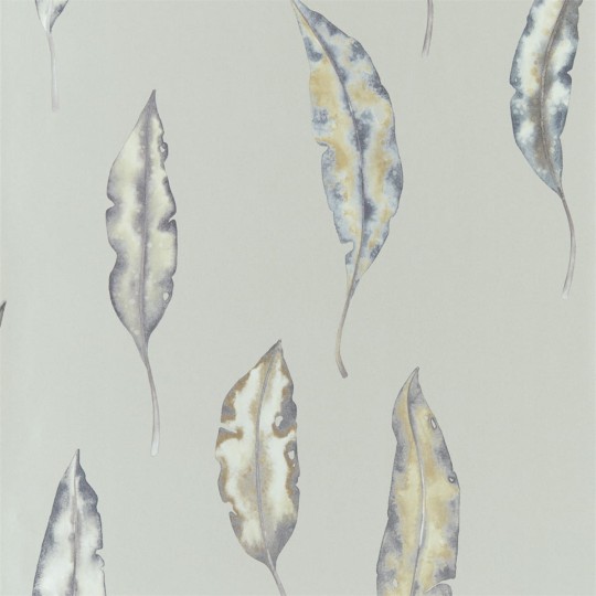 Tapeta Harlequin Anthozoa Kinina 111656