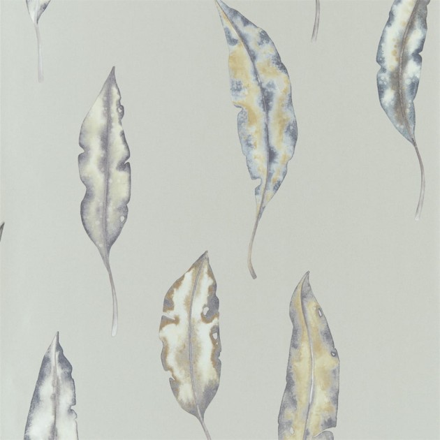 Tapeta Harlequin Anthozoa Kinina 111656