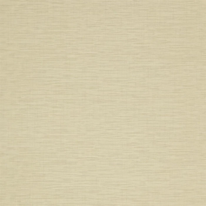 b053ef1cff33e9d0f69a591a9204a70c