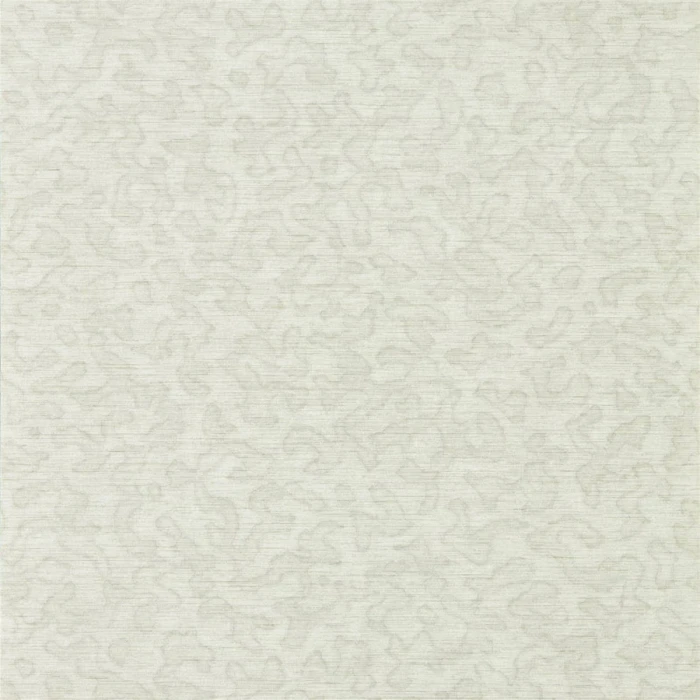 2df411fb9eb9962cfd2ab0acac4086b3