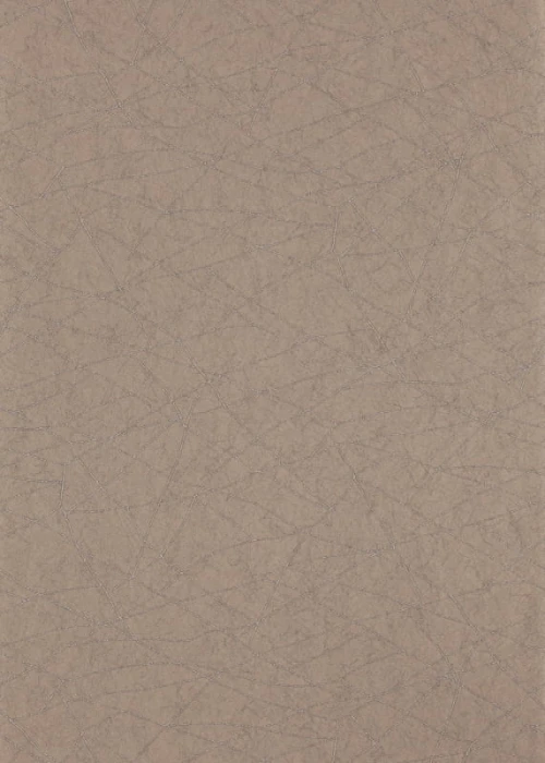 4192bfa30282da916b0956311fff04fc