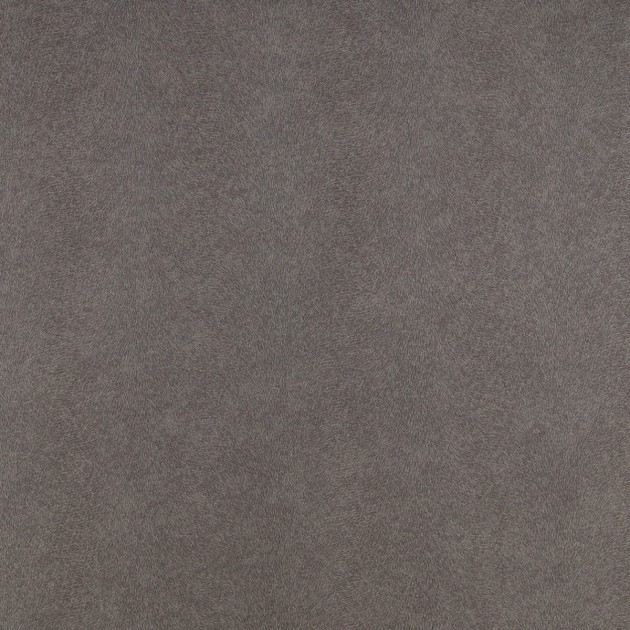 Tapeta Hooked on Walls Arctic Fever 86006