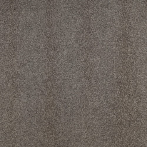 2552a04fa37bb2e8b2d464207923e2cd