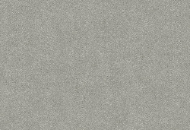Tapeta Hooked on Walls Arctic Fever 86001 Fur