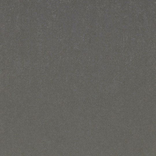 Tapeta Hooked on Walls New Elegance 58015