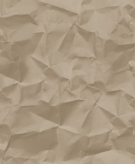 Tapeta Hooked On Walls Paper Craft 68040