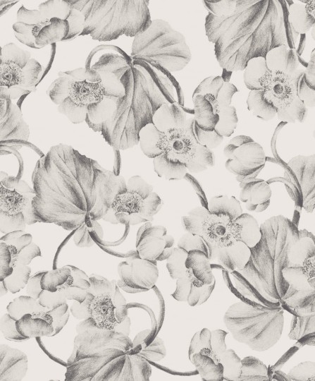 Tapeta Khroma Kent KEN301 Anemone