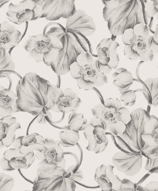Tapeta Khroma Kent KEN301 Anemone