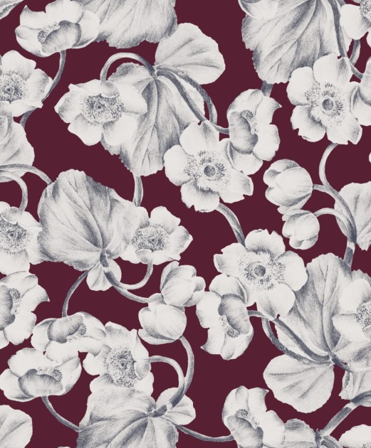 Tapeta Khroma Kent KEN302 Anemone