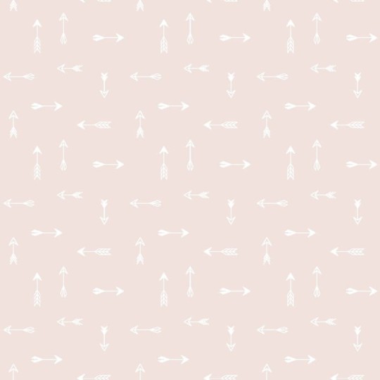 Tapeta Kidswalls Puck & Rose 27136 Indiańskie Strzały