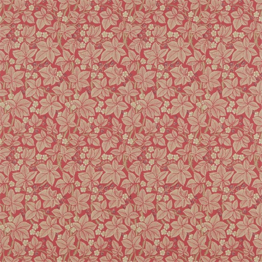 Tapeta Morris & Co. Archive III 214697 Bramble
