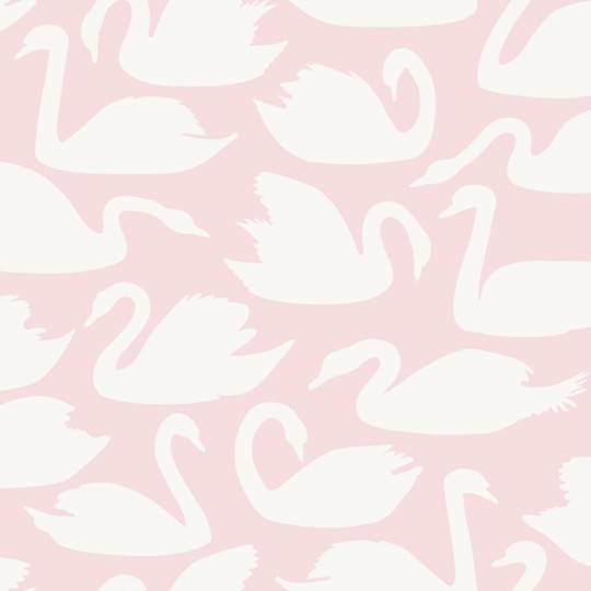Tapeta Origin Precious 347708 Swans