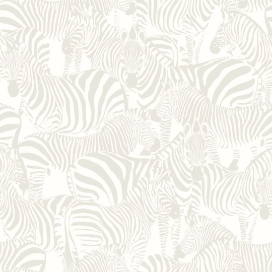 Tapeta Origin Precious 346836 Zebras