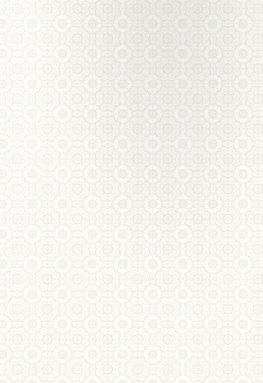 bc5691236734c19651c11eaa9ac2e3f2