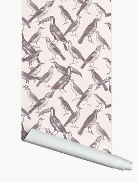 Tapeta PaperMint Birdy 0244