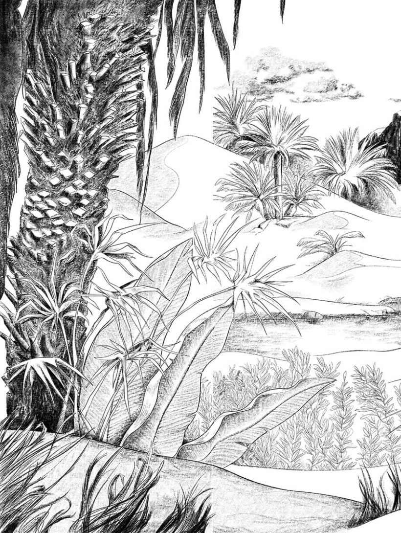 Tapeta PaperMint Oasis 0341