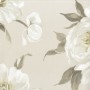 43fa3300a7eddc465c8c5da180b19b1b