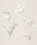 a619f8bc53342a08b98ab70fce03b1b9