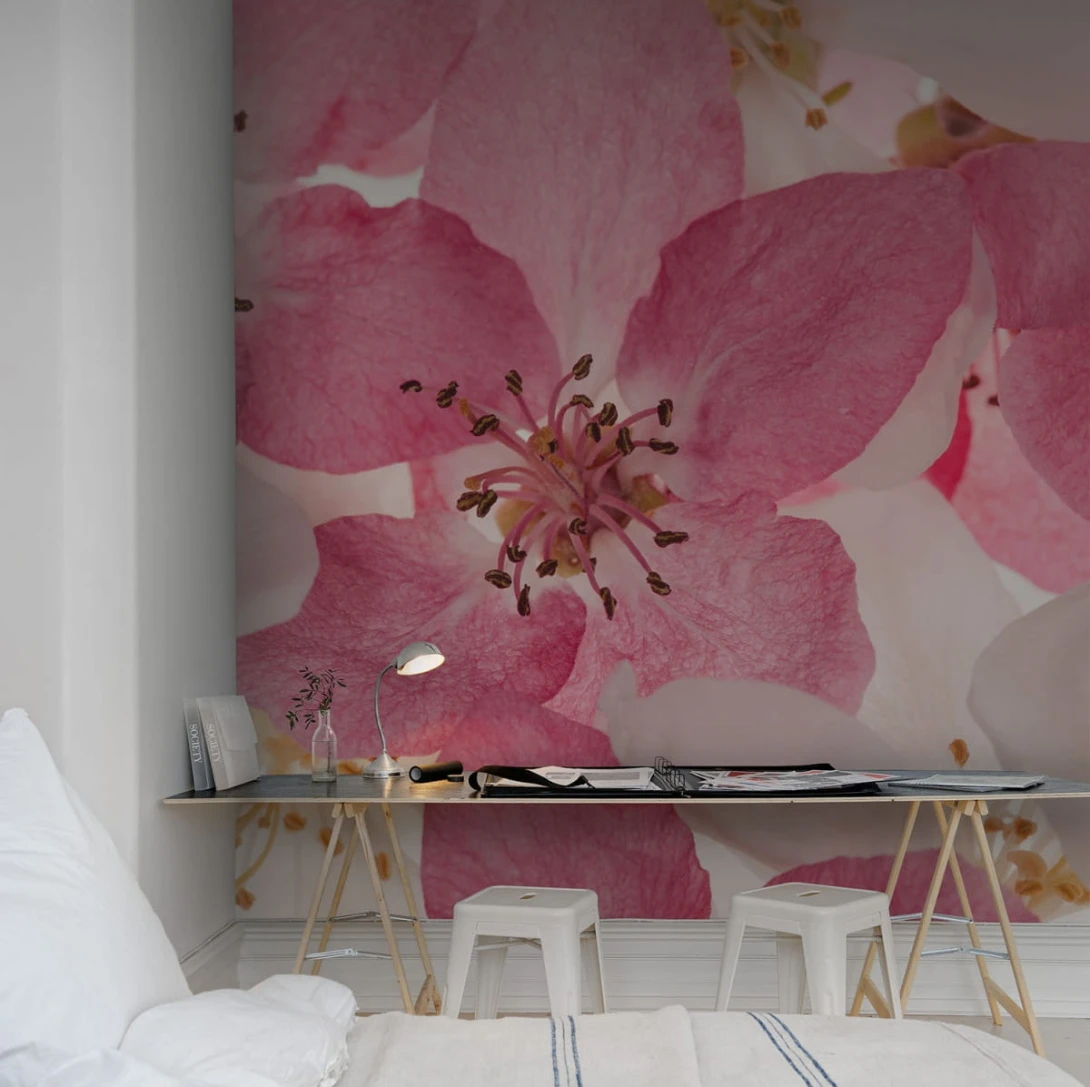 Fototapeta Rebel Walls Apple Blossom R11211