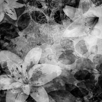 66881e6bfd0682411b6cf40b2f6c995f