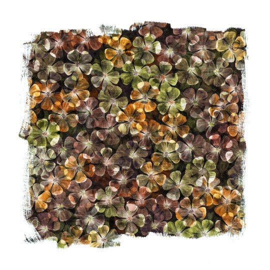 Fototapeta Rebel Walls Bloom R12242-6