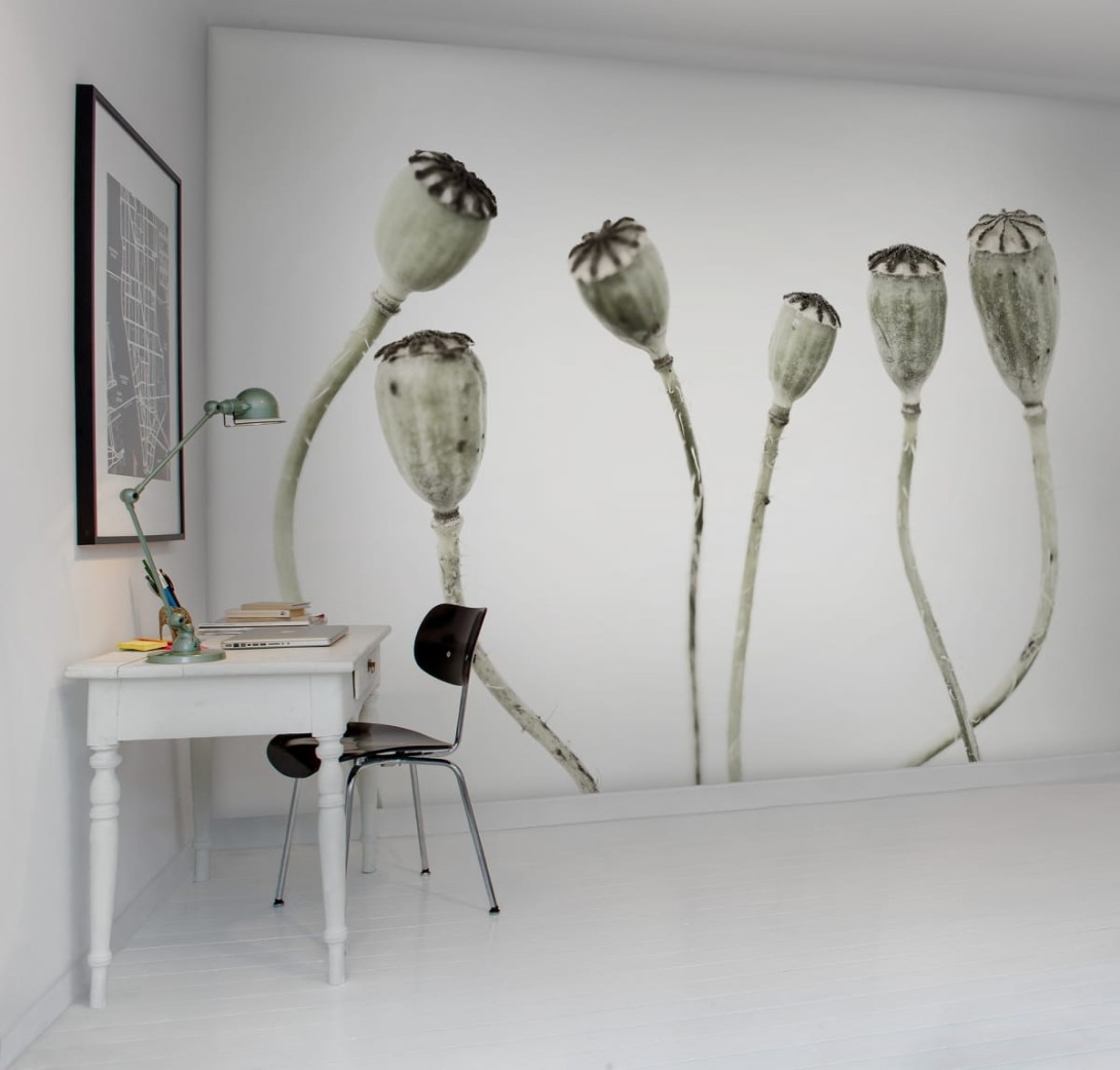 Rebel Walls R12991 Greenhouse Simple Seedpod - mural w roślinny motyw